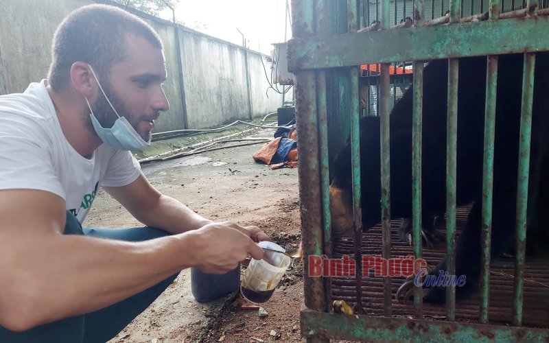 Bình Phước: Người dân tự nguyện bàn giao 1 cá thể gấu chó về Vườn quốc gia Cát Tiên