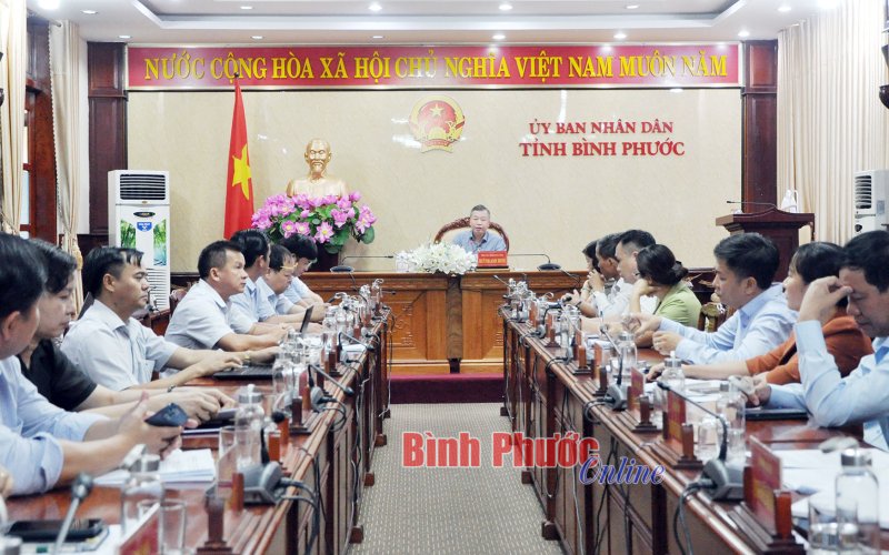 Cần phát huy vai trò “tư lệnh ngành” để phát triển ngành điều Bình Phước