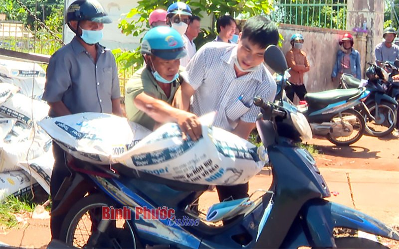 Cấp 540 bao thức ăn tinh cho bò thuộc dự án nông thôn miền núi