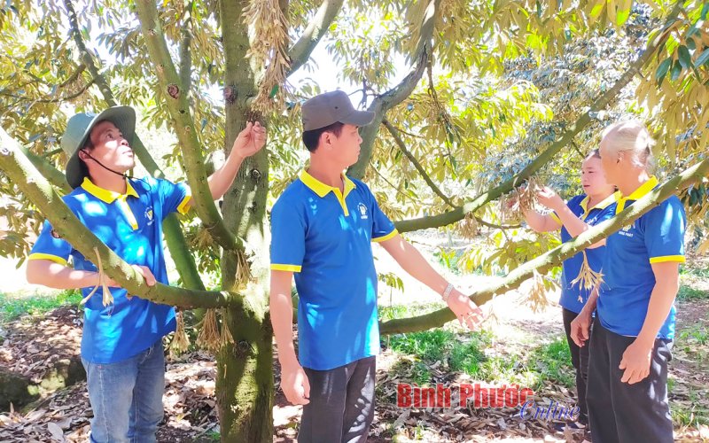 “Cầu nối” phát triển nông nghiệp