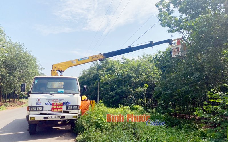 Chung tay bảo vệ hành lang an toàn lưới điện