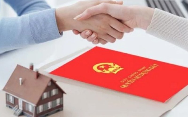 Cục Thuế chỉ đạo chấn chỉnh việc trả hồ sơ khai thuế đất thấp