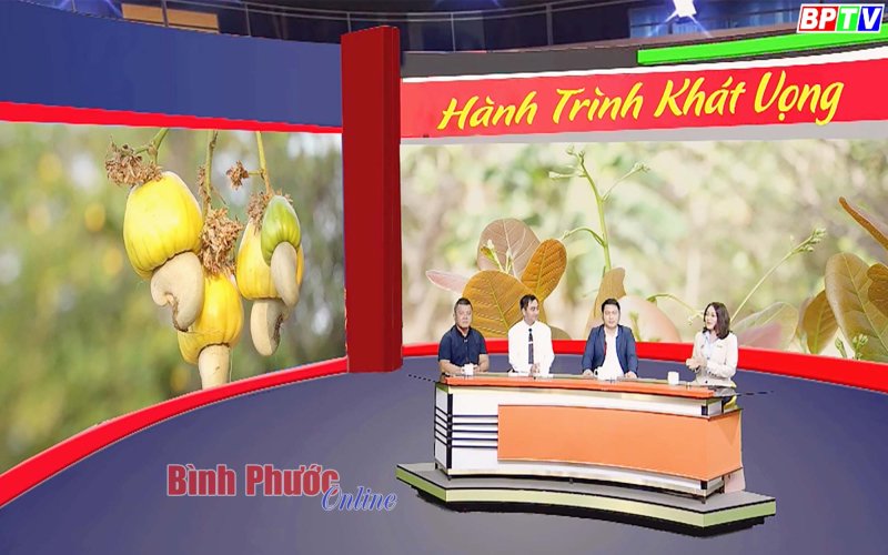 Để hạt điều Bình Phước vươn tầm quốc tế