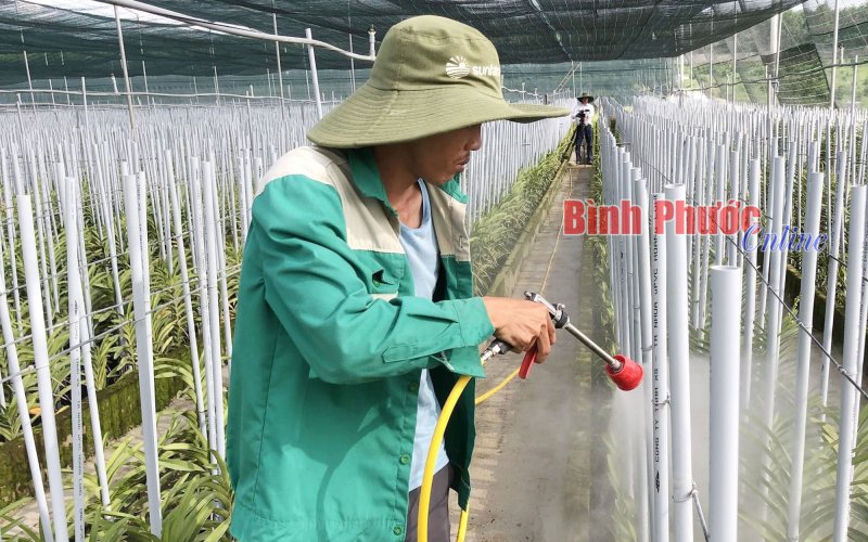 Độc đáo vườn lan 8 tỷ đồng