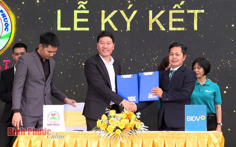 Giới thiệu 60 shophouse phiên bản giới hạn, dự án Phuoc Long Unique Center