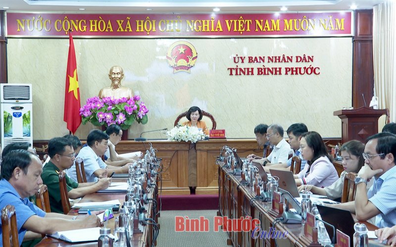 Hội nghị trực tuyến toàn quốc về công tác y tế và phòng, chống dịch bệnh