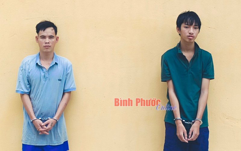 Khởi tố 2 đối tượng trộm cắp tài sản