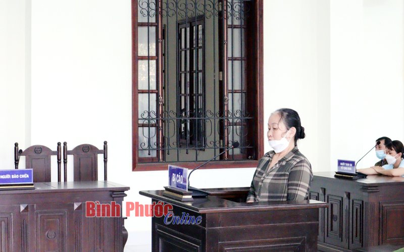 Lãnh án vì tội lừa đảo chiếm đoạt tài sản và sử dụng tài liệu giả