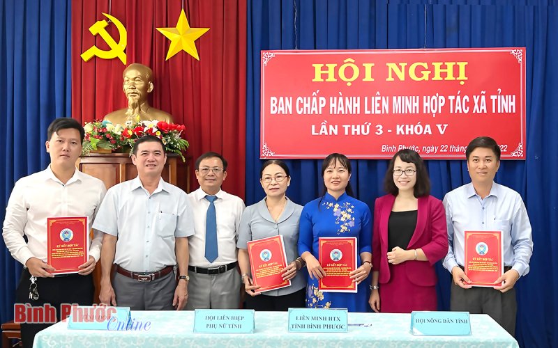 Liên minh Hợp tác xã tỉnh hoàn thành xuất sắc nhiệm vụ 6 tháng đầu năm
