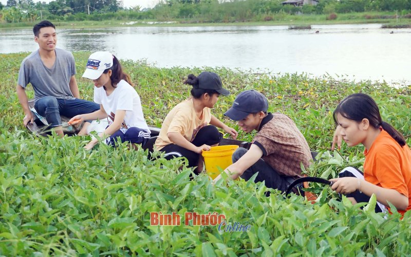 MEDIFOOD.IO mang thực phẩm tốt đến người dân