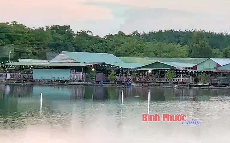 Nhảy xuống hồ bơi khi đang nhậu, người đàn ông tử vong