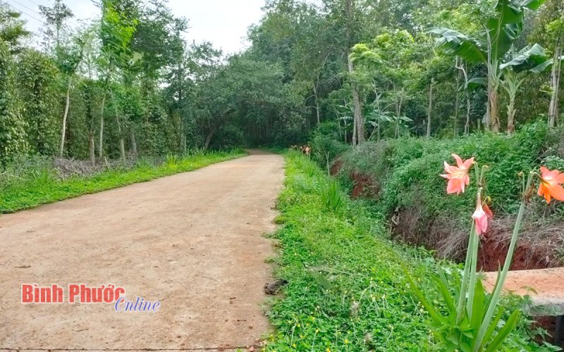 Nhân dân đóng góp gần 2,7 tỷ đồng xây dựng khu dân cư