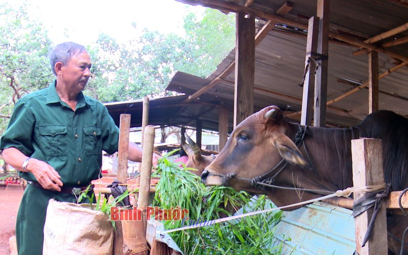 Thắm đượm nghĩa tình đồng đội