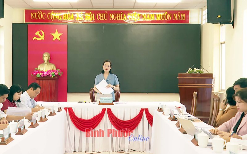 Thẩm tra các dự thảo nghị quyết, báo cáo trình kỳ họp thứ 6, HĐND tỉnh khóa X