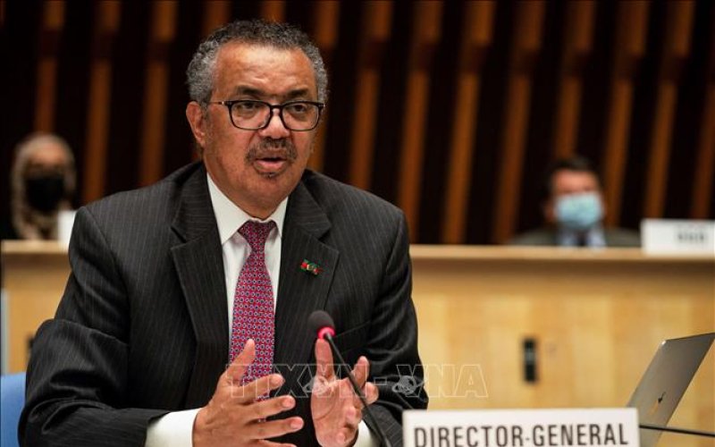 Tổng Gi&aacute;m đốc WHO cảnh b&aacute;o sự l&acirc;y lan của bệnh đậu m&ugrave;a khỉ tr&ecirc;n to&agrave;n cầu