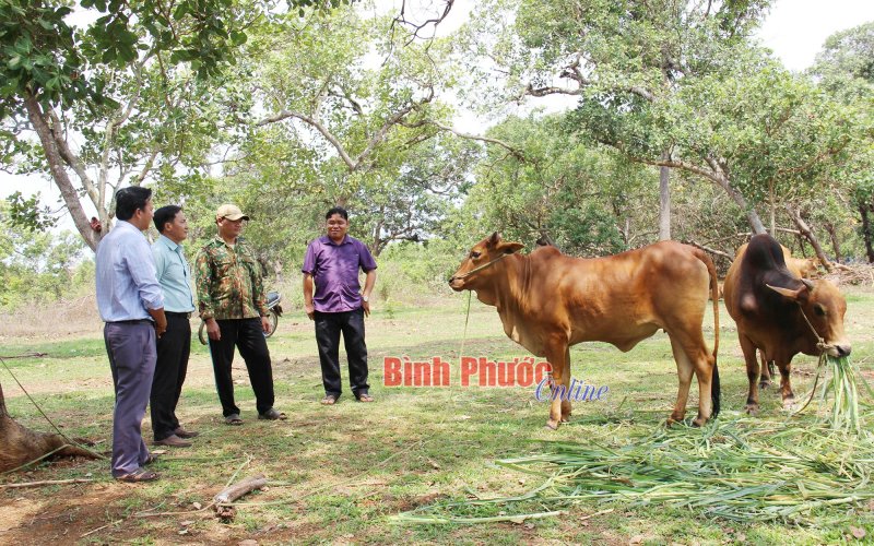 'Bệ đỡ' giảm nghèo trong đồng bào dân tộc thiểu số