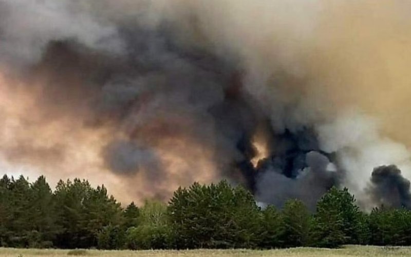 Cháy rừng tại Kazakhstan làm nhiều người thiệt mạng và mất tích