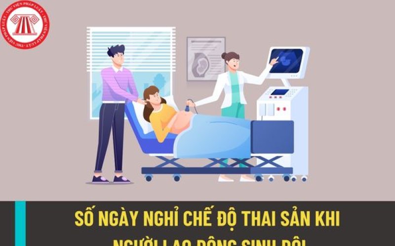 Chế độ thai sản đối với lao động nữ sinh đôi