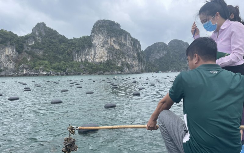 Chung tay bảo vệ môi trường biển bền vững