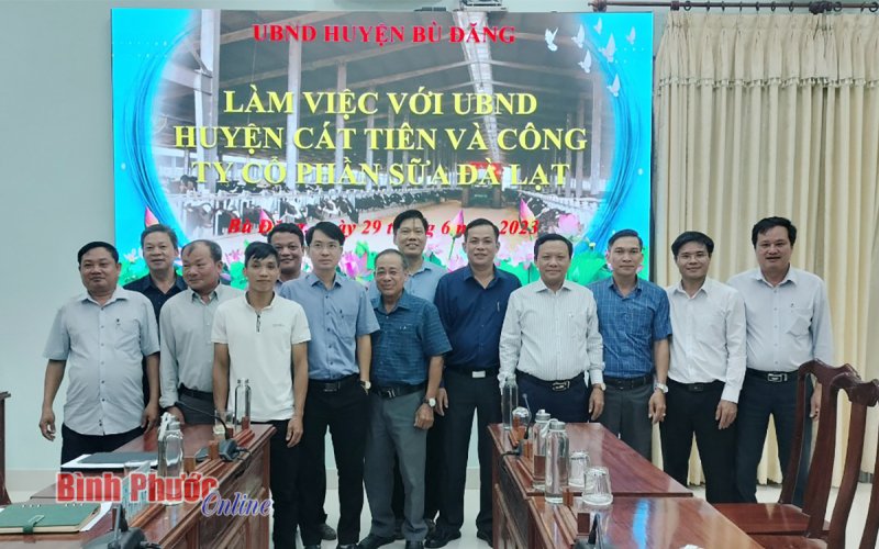 Công ty cổ phần sữa Đà Lạt tìm hiểu đầu tư phát triển chăn nuôi bò sữa trên địa bàn huyện Bù Đăng