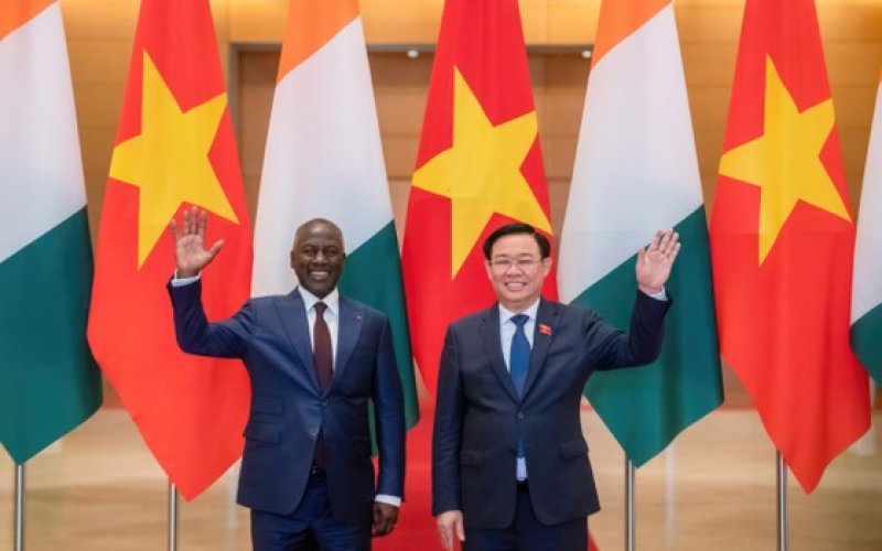 Hướng tới hình mẫu quan hệ nghị viện giữa Việt Nam và các nước châu Phi