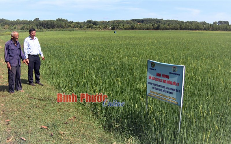 Liên kết để phát triển