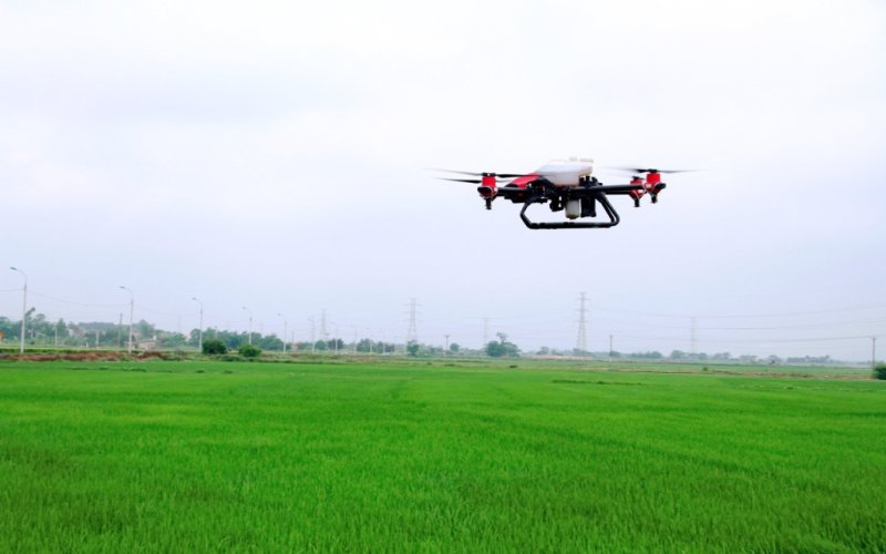 Nhân lên những tỷ phú, triệu phú nông dân