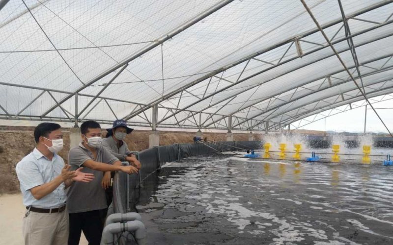 Phát triển nông nghiệp hiện đại, nông thôn văn minh