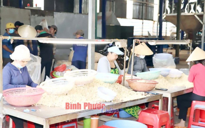 Techmart chuyên ngành điều năm 2023