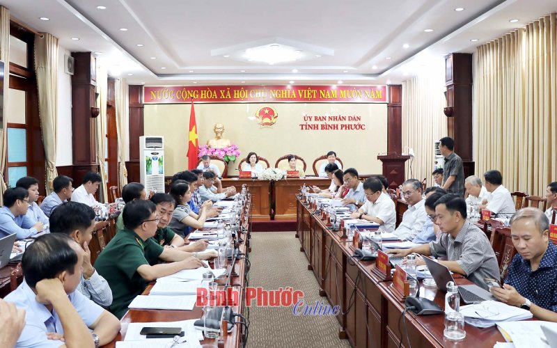 Thông qua các nội dung chuẩn bị trình kỳ họp giữa năm HĐND tỉnh