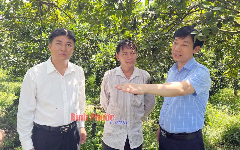 Trung ương Hội Nông dân Việt Nam đánh giá cao 2 mô hình nông nghiệp điển hình huyện Đồng Phú