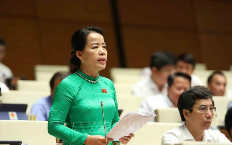 Tự chủ giáo dục đại học, đổi mới chương trình, sách giáo khoa cần mang tính chiến lược