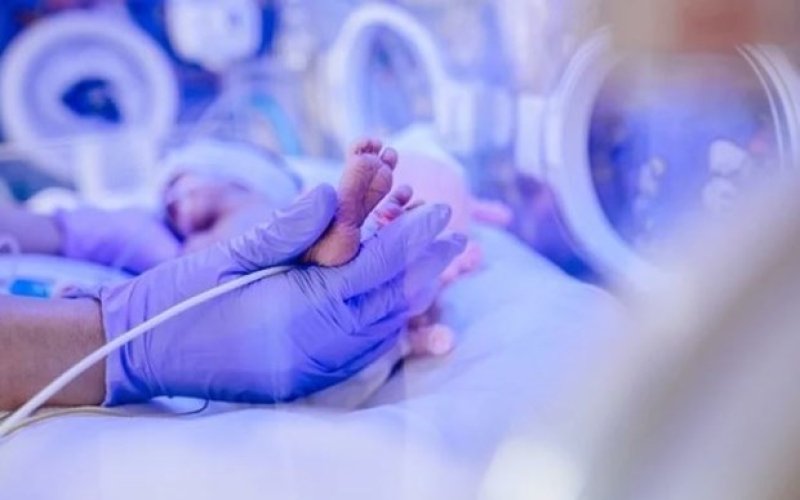 Viêm nhiễm tác động như thế nào đến sự phát triển não bộ thai nhi?