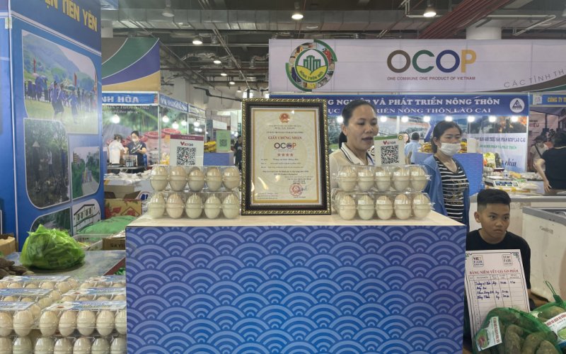 Xây dựng thương hiệu sản phẩm mạnh trong nước