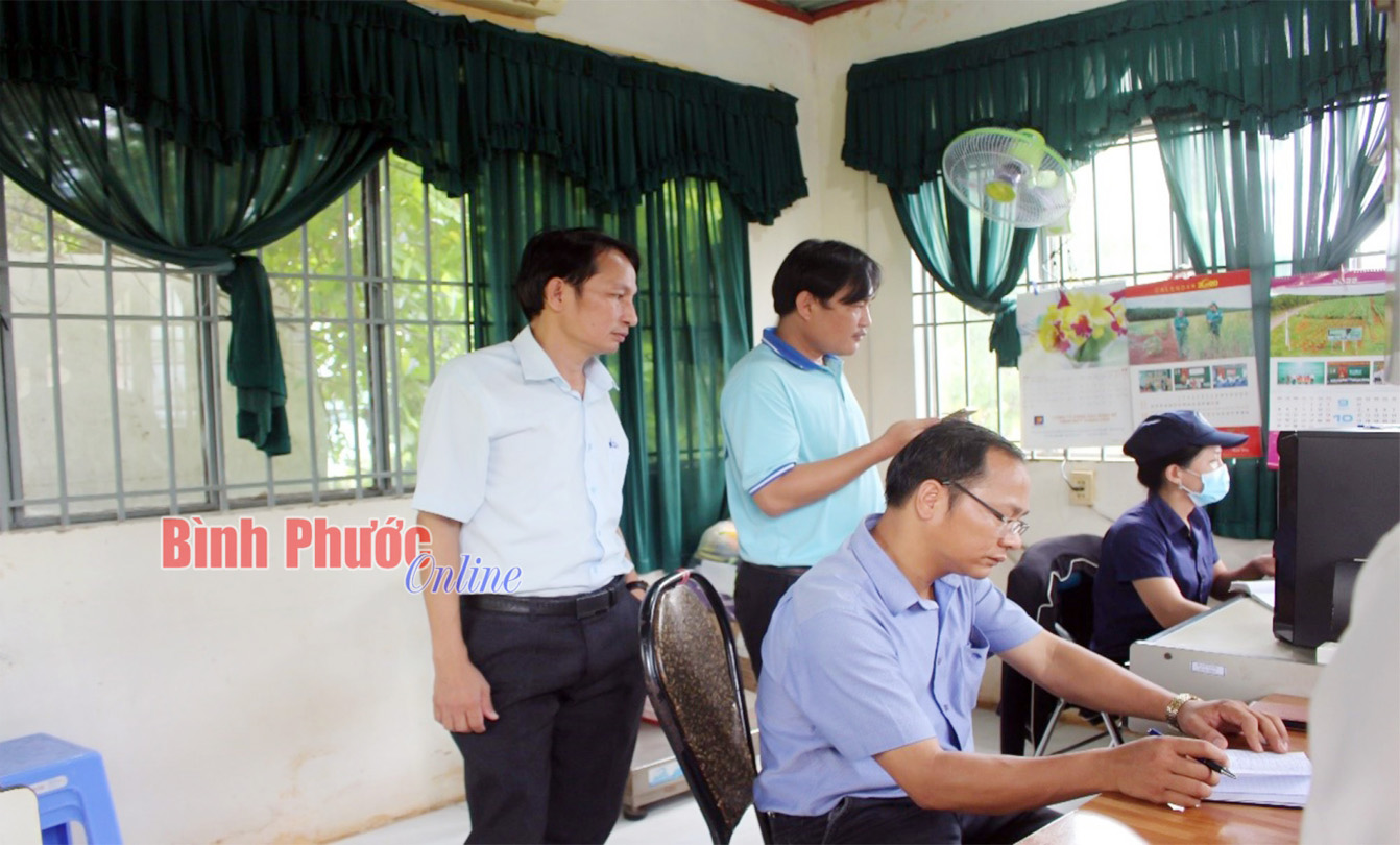 'Cây sáng kiến' trở thành công dân Bình Phước ưu tú