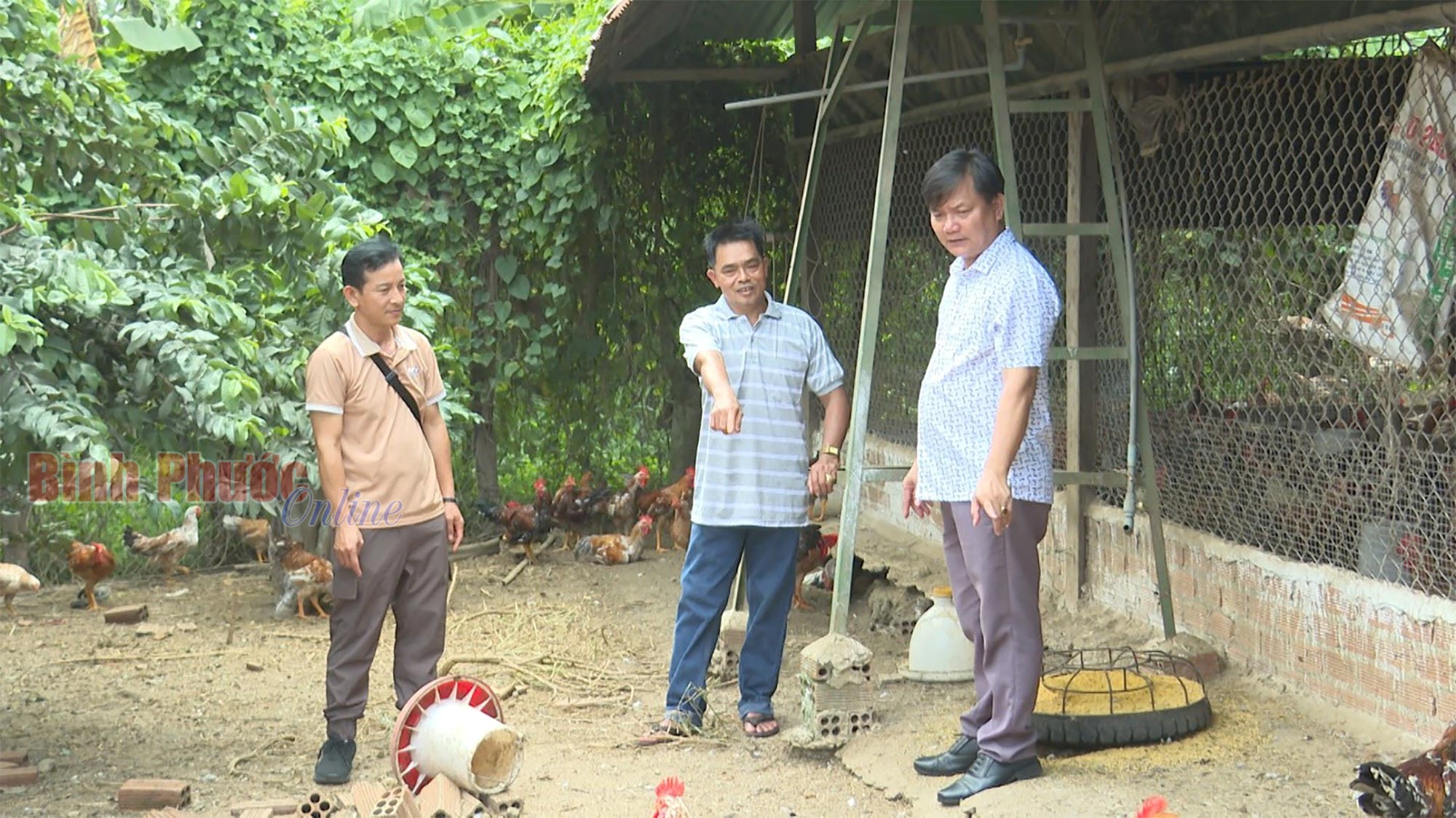 Giải oan cho trứng gà