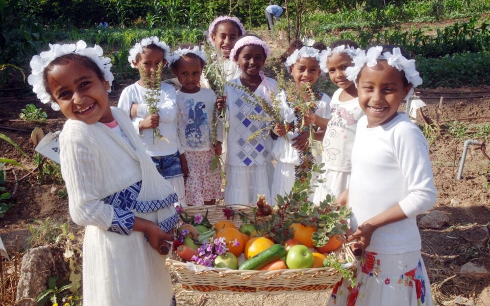 Lễ Shavuot - Giá trị văn hóa, nghệ thuật đặc sắc của đất nước Israel