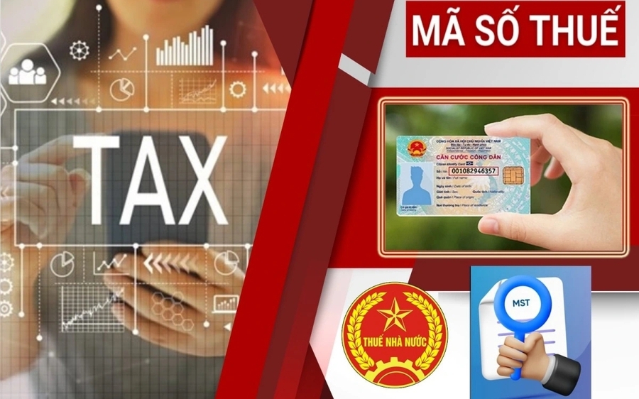 Sử dụng số định danh cá nhân thay cho mã số thuế từ 1-7-2025: Lưu ý với người nộp thuế