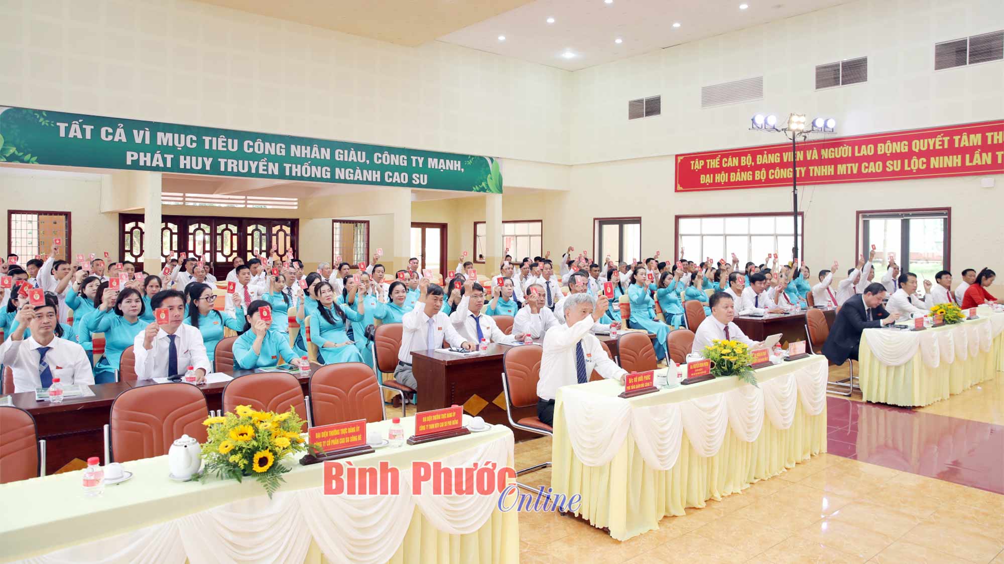 Tập trung vào sản phẩm chất lượng cao, mở rộng thị trường tiêu thụ ổn định