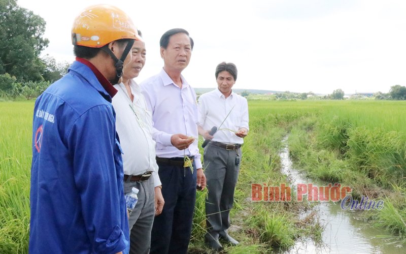 Bù Đốp thực hiện hiệu quả “mục tiêu kép”