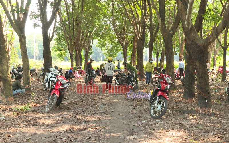 Chơn Thành: Phát hiện 37 người tụ tập tại lô cao su vi phạm quy định giãn cách xã hội