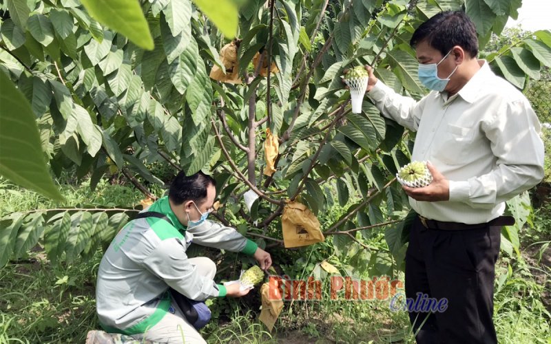 Cùng nông dân làm giàu