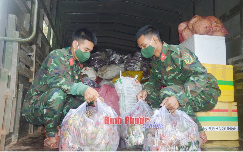 Gần 5 tấn rau, củ, quả tặng nhân dân, cán bộ, chiến sĩ tỉnh Bình Dương