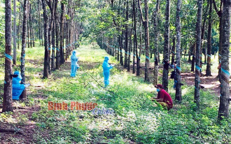 Thêm 3 ca F0 tại ấp Đồng Tân, xã Tân Hòa