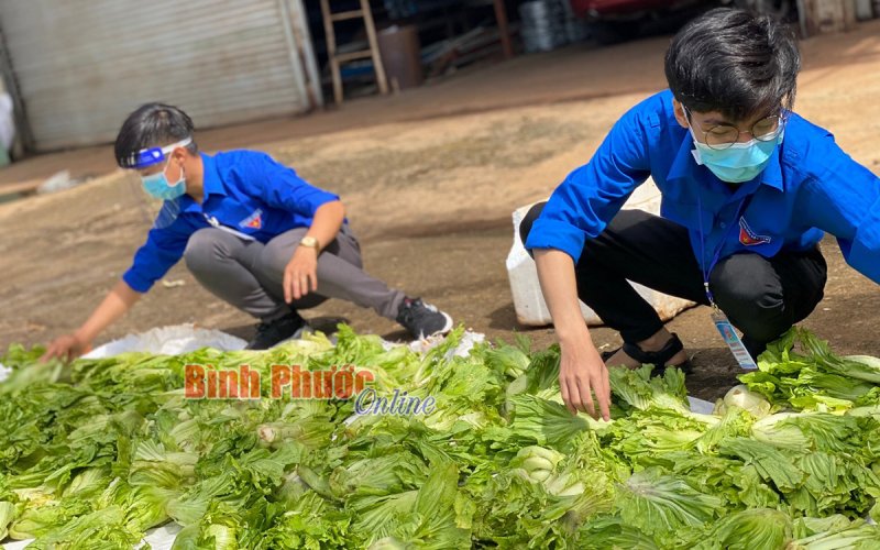 Thị đoàn Phước Long tiếp nhận 13 tấn rau Đà Lạt hỗ trợ khu cách ly và tuyến đầu chống dịch
