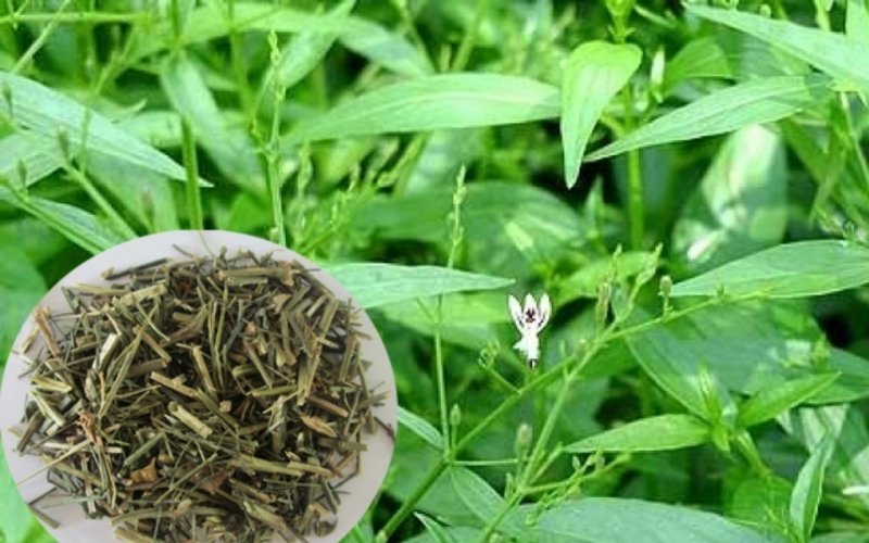 Xin đừng chống Covid-19… bằng tin đồn