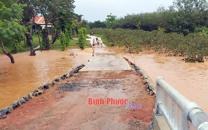 Bù Gia Mập ngập cục bộ khu vực cầu Đắk Ơ