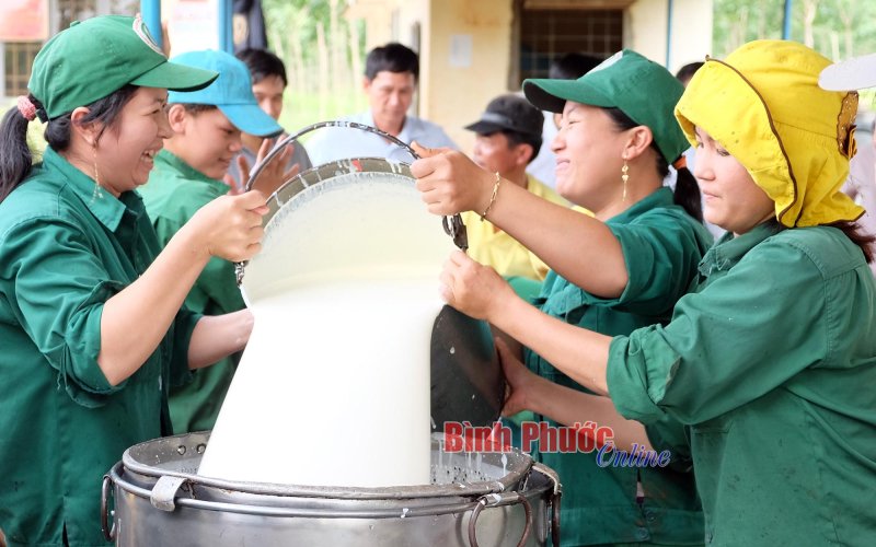 Cao su Phú Riềng tiếp tục trong top đầu VRG