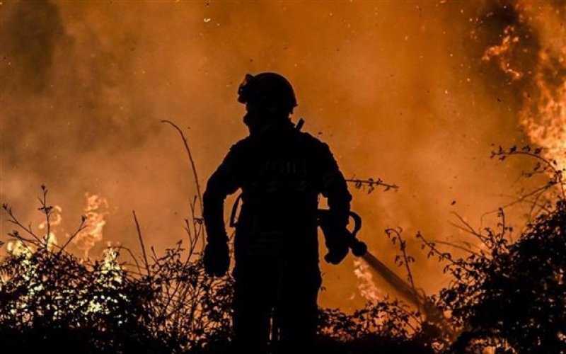 Cháy rừng "gần đây" tại châu Âu nghiêm trọng hơn cả năm 2021