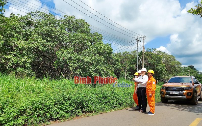 Điện lực Phước Long đảm bảo cung cấp điện liên tục, an toàn
